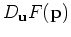 $D_{\mathbf{u}}F(\mathbf{p})$