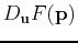 $D_{\mathbf{u}}F(\mathbf{p})$