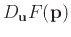 $D_{\mathbf{u}}F(\mathbf{p})$