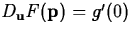 $ D_{\mathbf{u}}F(\mathbf{p}) = g'(0)$
