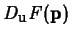 $D_{\mathbf{u}}F(\mathbf{p})$