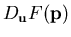 $D_{\mathbf{u}}F(\mathbf{p})$