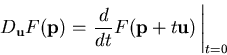 \begin{displaymath}D_{\mathbf{u}}F(\mathbf{p}) = \left. \frac{d}{dt}
F(\mathbf{p}+t\mathbf{u}) \, \right\vert _{t=0} \end{displaymath}