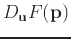 $D_{\mathbf{u}}F(\mathbf{p})$