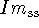 tex2html_wrap_inline100